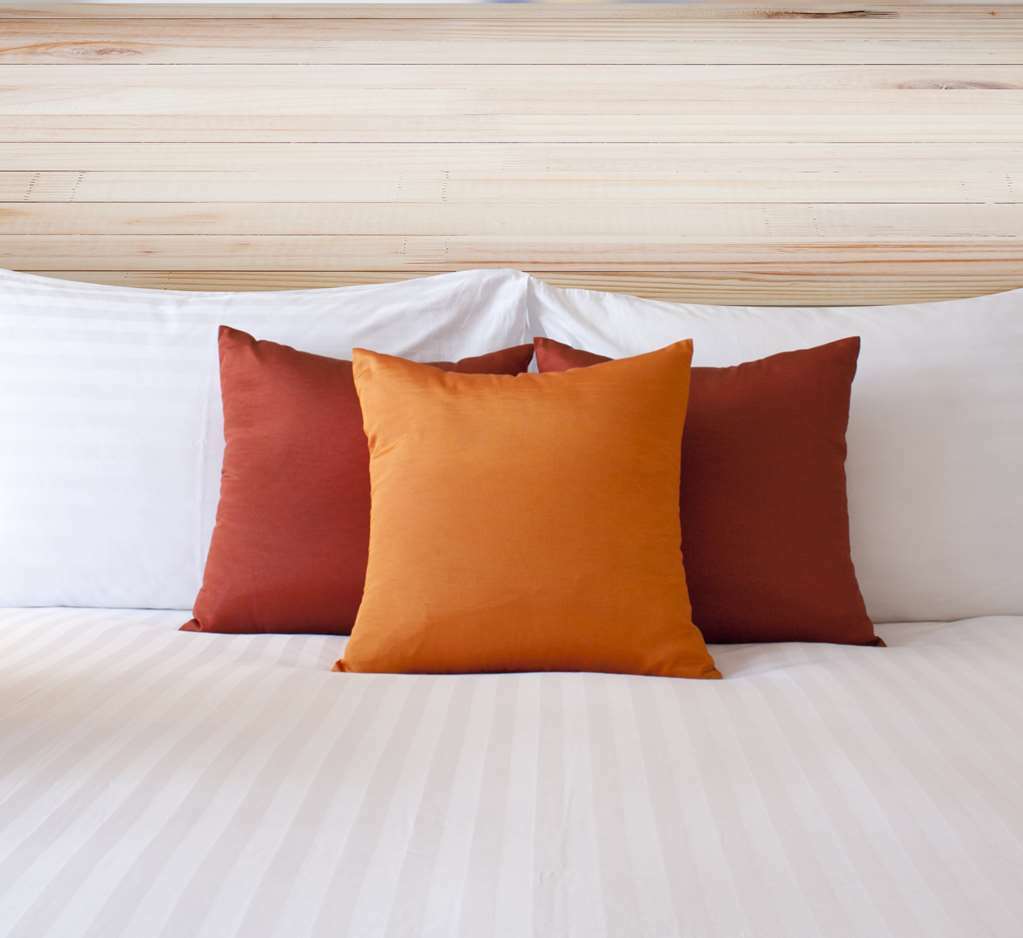 Econo Lodge Inn & Suites Sweetwater I-20 Bilik gambar
